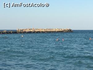 [P14] Marea Neagră la Neptun » foto by Yersinia Pestis
 - 
<span class="allrVoted glyphicon glyphicon-heart hidden" id="av1247517"></span>
<a class="m-l-10 hidden" id="sv1247517" onclick="voting_Foto_DelVot(,1247517,3820)" role="button">șterge vot <span class="glyphicon glyphicon-remove"></span></a>
<a id="v91247517" class=" c-red"  onclick="voting_Foto_SetVot(1247517)" role="button"><span class="glyphicon glyphicon-heart-empty"></span> <b>LIKE</b> = Votează poza</a> <img class="hidden"  id="f1247517W9" src="/imagini/loader.gif" border="0" /><span class="AjErrMes hidden" id="e1247517ErM"></span>