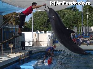 [P07] La Delfinariu » foto by leviescsilla
 - 
<span class="allrVoted glyphicon glyphicon-heart hidden" id="av501048"></span>
<a class="m-l-10 hidden" id="sv501048" onclick="voting_Foto_DelVot(,501048,3820)" role="button">șterge vot <span class="glyphicon glyphicon-remove"></span></a>
<a id="v9501048" class=" c-red"  onclick="voting_Foto_SetVot(501048)" role="button"><span class="glyphicon glyphicon-heart-empty"></span> <b>LIKE</b> = Votează poza</a> <img class="hidden"  id="f501048W9" src="/imagini/loader.gif" border="0" /><span class="AjErrMes hidden" id="e501048ErM"></span>