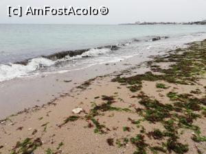 [P13] Costinesti » foto by ⭐ValentinB_88⭐
 - 
<span class="allrVoted glyphicon glyphicon-heart hidden" id="av1219797"></span>
<a class="m-l-10 hidden" id="sv1219797" onclick="voting_Foto_DelVot(,1219797,3820)" role="button">șterge vot <span class="glyphicon glyphicon-remove"></span></a>
<a id="v91219797" class=" c-red"  onclick="voting_Foto_SetVot(1219797)" role="button"><span class="glyphicon glyphicon-heart-empty"></span> <b>LIKE</b> = Votează poza</a> <img class="hidden"  id="f1219797W9" src="/imagini/loader.gif" border="0" /><span class="AjErrMes hidden" id="e1219797ErM"></span>