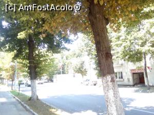 [P03] Constanța, pe Bulevardul Ferdinand, cabinete medicale,  » foto by danaeldreny*
 - 
<span class="allrVoted glyphicon glyphicon-heart hidden" id="av878114"></span>
<a class="m-l-10 hidden" id="sv878114" onclick="voting_Foto_DelVot(,878114,3820)" role="button">șterge vot <span class="glyphicon glyphicon-remove"></span></a>
<a id="v9878114" class=" c-red"  onclick="voting_Foto_SetVot(878114)" role="button"><span class="glyphicon glyphicon-heart-empty"></span> <b>LIKE</b> = Votează poza</a> <img class="hidden"  id="f878114W9" src="/imagini/loader.gif" border="0" /><span class="AjErrMes hidden" id="e878114ErM"></span>