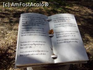 [P23] Constanța - Bulevardul Mamaia, pe la Universitatea Ovidiu » foto by danaeldreny*
 - 
<span class="allrVoted glyphicon glyphicon-heart hidden" id="av926426"></span>
<a class="m-l-10 hidden" id="sv926426" onclick="voting_Foto_DelVot(,926426,3820)" role="button">șterge vot <span class="glyphicon glyphicon-remove"></span></a>
<a id="v9926426" class=" c-red"  onclick="voting_Foto_SetVot(926426)" role="button"><span class="glyphicon glyphicon-heart-empty"></span> <b>LIKE</b> = Votează poza</a> <img class="hidden"  id="f926426W9" src="/imagini/loader.gif" border="0" /><span class="AjErrMes hidden" id="e926426ErM"></span>