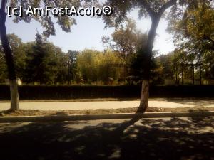 [P39] Constanța - Bulevardul Ferdinand și Parcul Primăriei » foto by danaeldreny*
 - 
<span class="allrVoted glyphicon glyphicon-heart hidden" id="av926442"></span>
<a class="m-l-10 hidden" id="sv926442" onclick="voting_Foto_DelVot(,926442,3820)" role="button">șterge vot <span class="glyphicon glyphicon-remove"></span></a>
<a id="v9926442" class=" c-red"  onclick="voting_Foto_SetVot(926442)" role="button"><span class="glyphicon glyphicon-heart-empty"></span> <b>LIKE</b> = Votează poza</a> <img class="hidden"  id="f926442W9" src="/imagini/loader.gif" border="0" /><span class="AjErrMes hidden" id="e926442ErM"></span>