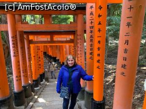[P24] Fushimi Inari » foto by patrice
 - 
<span class="allrVoted glyphicon glyphicon-heart hidden" id="av1353956"></span>
<a class="m-l-10 hidden" id="sv1353956" onclick="voting_Foto_DelVot(,1353956,3821)" role="button">șterge vot <span class="glyphicon glyphicon-remove"></span></a>
<a id="v91353956" class=" c-red"  onclick="voting_Foto_SetVot(1353956)" role="button"><span class="glyphicon glyphicon-heart-empty"></span> <b>LIKE</b> = Votează poza</a> <img class="hidden"  id="f1353956W9" src="/imagini/loader.gif" border="0" /><span class="AjErrMes hidden" id="e1353956ErM"></span>