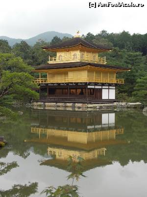 [P38] Kyoto, Kinkakuji Templu » foto by mprofeanu
 - 
<span class="allrVoted glyphicon glyphicon-heart hidden" id="av673889"></span>
<a class="m-l-10 hidden" id="sv673889" onclick="voting_Foto_DelVot(,673889,3821)" role="button">șterge vot <span class="glyphicon glyphicon-remove"></span></a>
<a id="v9673889" class=" c-red"  onclick="voting_Foto_SetVot(673889)" role="button"><span class="glyphicon glyphicon-heart-empty"></span> <b>LIKE</b> = Votează poza</a> <img class="hidden"  id="f673889W9" src="/imagini/loader.gif" border="0" /><span class="AjErrMes hidden" id="e673889ErM"></span>