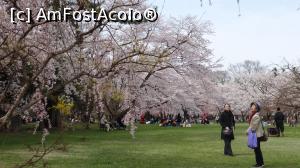 [P01] la  Hirosaki,in parcul castelului » foto by grecudoina
 - 
<span class="allrVoted glyphicon glyphicon-heart hidden" id="av1214877"></span>
<a class="m-l-10 hidden" id="sv1214877" onclick="voting_Foto_DelVot(,1214877,3821)" role="button">șterge vot <span class="glyphicon glyphicon-remove"></span></a>
<a id="v91214877" class=" c-red"  onclick="voting_Foto_SetVot(1214877)" role="button"><span class="glyphicon glyphicon-heart-empty"></span> <b>LIKE</b> = Votează poza</a> <img class="hidden"  id="f1214877W9" src="/imagini/loader.gif" border="0" /><span class="AjErrMes hidden" id="e1214877ErM"></span>