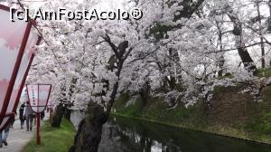 [P02] pe aleea din localitatea Hirosaki,in drum spre castel » foto by grecudoina
 - 
<span class="allrVoted glyphicon glyphicon-heart hidden" id="av1214878"></span>
<a class="m-l-10 hidden" id="sv1214878" onclick="voting_Foto_DelVot(,1214878,3821)" role="button">șterge vot <span class="glyphicon glyphicon-remove"></span></a>
<a id="v91214878" class=" c-red"  onclick="voting_Foto_SetVot(1214878)" role="button"><span class="glyphicon glyphicon-heart-empty"></span> <b>LIKE</b> = Votează poza</a> <img class="hidden"  id="f1214878W9" src="/imagini/loader.gif" border="0" /><span class="AjErrMes hidden" id="e1214878ErM"></span>