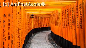 [P30] FUSHIMI INARI Shrine 見稲荷大社 deshis non-stop, fara taxa » foto by mcnegoita
 - 
<span class="allrVoted glyphicon glyphicon-heart hidden" id="av1013375"></span>
<a class="m-l-10 hidden" id="sv1013375" onclick="voting_Foto_DelVot(,1013375,3821)" role="button">șterge vot <span class="glyphicon glyphicon-remove"></span></a>
<a id="v91013375" class=" c-red"  onclick="voting_Foto_SetVot(1013375)" role="button"><span class="glyphicon glyphicon-heart-empty"></span> <b>LIKE</b> = Votează poza</a> <img class="hidden"  id="f1013375W9" src="/imagini/loader.gif" border="0" /><span class="AjErrMes hidden" id="e1013375ErM"></span>