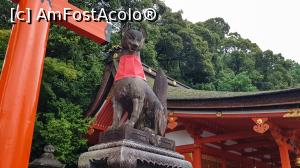 [P33] Vulpile sunt considerate a fi mesageri ai lui Inari, Am intalnit numeroase statui cu vulpi pe teritoriul altarului care au in gura o cheie de la hambarele de orez pe care le pazesc.  » foto by mcnegoita
 - 
<span class="allrVoted glyphicon glyphicon-heart hidden" id="av1013379"></span>
<a class="m-l-10 hidden" id="sv1013379" onclick="voting_Foto_DelVot(,1013379,3821)" role="button">șterge vot <span class="glyphicon glyphicon-remove"></span></a>
<a id="v91013379" class=" c-red"  onclick="voting_Foto_SetVot(1013379)" role="button"><span class="glyphicon glyphicon-heart-empty"></span> <b>LIKE</b> = Votează poza</a> <img class="hidden"  id="f1013379W9" src="/imagini/loader.gif" border="0" /><span class="AjErrMes hidden" id="e1013379ErM"></span>