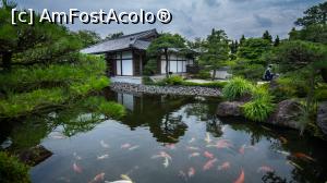 [P55] Gradinile Kokoen Himeji » foto by mcnegoita
 - 
<span class="allrVoted glyphicon glyphicon-heart hidden" id="av1013694"></span>
<a class="m-l-10 hidden" id="sv1013694" onclick="voting_Foto_DelVot(,1013694,3821)" role="button">șterge vot <span class="glyphicon glyphicon-remove"></span></a>
<a id="v91013694" class=" c-red"  onclick="voting_Foto_SetVot(1013694)" role="button"><span class="glyphicon glyphicon-heart-empty"></span> <b>LIKE</b> = Votează poza</a> <img class="hidden"  id="f1013694W9" src="/imagini/loader.gif" border="0" /><span class="AjErrMes hidden" id="e1013694ErM"></span>