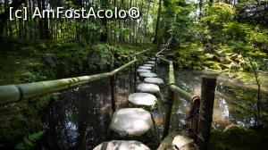 [P07] Tenju-an cu a sa gradina cu lac si pasi de piatra pe acesta » foto by mcnegoita
 - 
<span class="allrVoted glyphicon glyphicon-heart hidden" id="av1013352"></span>
<a class="m-l-10 hidden" id="sv1013352" onclick="voting_Foto_DelVot(,1013352,3821)" role="button">șterge vot <span class="glyphicon glyphicon-remove"></span></a>
<a id="v91013352" class=" c-red"  onclick="voting_Foto_SetVot(1013352)" role="button"><span class="glyphicon glyphicon-heart-empty"></span> <b>LIKE</b> = Votează poza</a> <img class="hidden"  id="f1013352W9" src="/imagini/loader.gif" border="0" /><span class="AjErrMes hidden" id="e1013352ErM"></span>