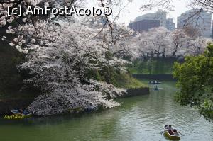 [P01] Tokyo; sakura » foto by Millana
 - 
<span class="allrVoted glyphicon glyphicon-heart hidden" id="av957122"></span>
<a class="m-l-10 hidden" id="sv957122" onclick="voting_Foto_DelVot(,957122,3821)" role="button">șterge vot <span class="glyphicon glyphicon-remove"></span></a>
<a id="v9957122" class=" c-red"  onclick="voting_Foto_SetVot(957122)" role="button"><span class="glyphicon glyphicon-heart-empty"></span> <b>LIKE</b> = Votează poza</a> <img class="hidden"  id="f957122W9" src="/imagini/loader.gif" border="0" /><span class="AjErrMes hidden" id="e957122ErM"></span>