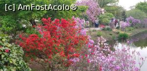 [P14] parcul » foto by mariana07
 - 
<span class="allrVoted glyphicon glyphicon-heart hidden" id="av1068251"></span>
<a class="m-l-10 hidden" id="sv1068251" onclick="voting_Foto_DelVot(,1068251,3821)" role="button">șterge vot <span class="glyphicon glyphicon-remove"></span></a>
<a id="v91068251" class=" c-red"  onclick="voting_Foto_SetVot(1068251)" role="button"><span class="glyphicon glyphicon-heart-empty"></span> <b>LIKE</b> = Votează poza</a> <img class="hidden"  id="f1068251W9" src="/imagini/loader.gif" border="0" /><span class="AjErrMes hidden" id="e1068251ErM"></span>