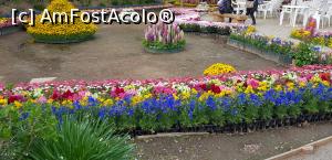 [P15] alt aranjament floral » foto by mariana07
 - 
<span class="allrVoted glyphicon glyphicon-heart hidden" id="av1068252"></span>
<a class="m-l-10 hidden" id="sv1068252" onclick="voting_Foto_DelVot(,1068252,3821)" role="button">șterge vot <span class="glyphicon glyphicon-remove"></span></a>
<a id="v91068252" class=" c-red"  onclick="voting_Foto_SetVot(1068252)" role="button"><span class="glyphicon glyphicon-heart-empty"></span> <b>LIKE</b> = Votează poza</a> <img class="hidden"  id="f1068252W9" src="/imagini/loader.gif" border="0" /><span class="AjErrMes hidden" id="e1068252ErM"></span>