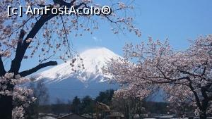 [P10] La poalele lui Fuji- San » foto by Michi
 - 
<span class="allrVoted glyphicon glyphicon-heart hidden" id="av1221746"></span>
<a class="m-l-10 hidden" id="sv1221746" onclick="voting_Foto_DelVot(,1221746,3821)" role="button">șterge vot <span class="glyphicon glyphicon-remove"></span></a>
<a id="v91221746" class=" c-red"  onclick="voting_Foto_SetVot(1221746)" role="button"><span class="glyphicon glyphicon-heart-empty"></span> <b>LIKE</b> = Votează poza</a> <img class="hidden"  id="f1221746W9" src="/imagini/loader.gif" border="0" /><span class="AjErrMes hidden" id="e1221746ErM"></span>
