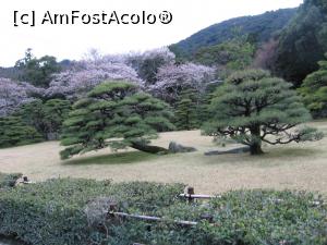 [P14] Sakura în Kioto » foto by Michi
 - 
<span class="allrVoted glyphicon glyphicon-heart hidden" id="av1221750"></span>
<a class="m-l-10 hidden" id="sv1221750" onclick="voting_Foto_DelVot(,1221750,3821)" role="button">șterge vot <span class="glyphicon glyphicon-remove"></span></a>
<a id="v91221750" class=" c-red"  onclick="voting_Foto_SetVot(1221750)" role="button"><span class="glyphicon glyphicon-heart-empty"></span> <b>LIKE</b> = Votează poza</a> <img class="hidden"  id="f1221750W9" src="/imagini/loader.gif" border="0" /><span class="AjErrMes hidden" id="e1221750ErM"></span>