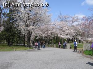 [P15] Într-un parc din Kioto » foto by Michi
 - 
<span class="allrVoted glyphicon glyphicon-heart hidden" id="av1221751"></span>
<a class="m-l-10 hidden" id="sv1221751" onclick="voting_Foto_DelVot(,1221751,3821)" role="button">șterge vot <span class="glyphicon glyphicon-remove"></span></a>
<a id="v91221751" class=" c-red"  onclick="voting_Foto_SetVot(1221751)" role="button"><span class="glyphicon glyphicon-heart-empty"></span> <b>LIKE</b> = Votează poza</a> <img class="hidden"  id="f1221751W9" src="/imagini/loader.gif" border="0" /><span class="AjErrMes hidden" id="e1221751ErM"></span>