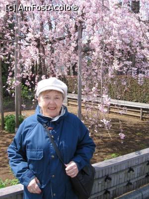 [P02] Pe o alee în parcul Ueno » foto by Michi
 - 
<span class="allrVoted glyphicon glyphicon-heart hidden" id="av1221738"></span>
<a class="m-l-10 hidden" id="sv1221738" onclick="voting_Foto_DelVot(,1221738,3821)" role="button">șterge vot <span class="glyphicon glyphicon-remove"></span></a>
<a id="v91221738" class=" c-red"  onclick="voting_Foto_SetVot(1221738)" role="button"><span class="glyphicon glyphicon-heart-empty"></span> <b>LIKE</b> = Votează poza</a> <img class="hidden"  id="f1221738W9" src="/imagini/loader.gif" border="0" /><span class="AjErrMes hidden" id="e1221738ErM"></span>