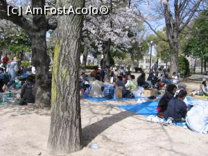 [P21] Viaţa reluată normal în Hiroshima » foto by Michi
 - 
<span class="allrVoted glyphicon glyphicon-heart hidden" id="av1221757"></span>
<a class="m-l-10 hidden" id="sv1221757" onclick="voting_Foto_DelVot(,1221757,3821)" role="button">șterge vot <span class="glyphicon glyphicon-remove"></span></a>
<a id="v91221757" class=" c-red"  onclick="voting_Foto_SetVot(1221757)" role="button"><span class="glyphicon glyphicon-heart-empty"></span> <b>LIKE</b> = Votează poza</a> <img class="hidden"  id="f1221757W9" src="/imagini/loader.gif" border="0" /><span class="AjErrMes hidden" id="e1221757ErM"></span>
