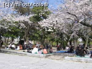 [P22] Viaţa reluată normal în Hiroshima » foto by Michi
 - 
<span class="allrVoted glyphicon glyphicon-heart hidden" id="av1221758"></span>
<a class="m-l-10 hidden" id="sv1221758" onclick="voting_Foto_DelVot(,1221758,3821)" role="button">șterge vot <span class="glyphicon glyphicon-remove"></span></a>
<a id="v91221758" class=" c-red"  onclick="voting_Foto_SetVot(1221758)" role="button"><span class="glyphicon glyphicon-heart-empty"></span> <b>LIKE</b> = Votează poza</a> <img class="hidden"  id="f1221758W9" src="/imagini/loader.gif" border="0" /><span class="AjErrMes hidden" id="e1221758ErM"></span>