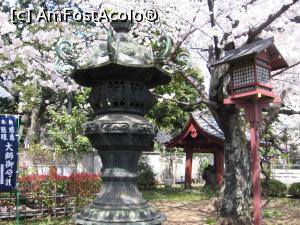 [P03] Ornamente în parcul Ueno » foto by Michi
 - 
<span class="allrVoted glyphicon glyphicon-heart hidden" id="av1221739"></span>
<a class="m-l-10 hidden" id="sv1221739" onclick="voting_Foto_DelVot(,1221739,3821)" role="button">șterge vot <span class="glyphicon glyphicon-remove"></span></a>
<a id="v91221739" class=" c-red"  onclick="voting_Foto_SetVot(1221739)" role="button"><span class="glyphicon glyphicon-heart-empty"></span> <b>LIKE</b> = Votează poza</a> <img class="hidden"  id="f1221739W9" src="/imagini/loader.gif" border="0" /><span class="AjErrMes hidden" id="e1221739ErM"></span>