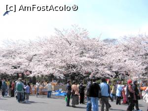 [P05] Admirând Sakura, cireşii înfloriţi » foto by Michi
 - 
<span class="allrVoted glyphicon glyphicon-heart hidden" id="av1221741"></span>
<a class="m-l-10 hidden" id="sv1221741" onclick="voting_Foto_DelVot(,1221741,3821)" role="button">șterge vot <span class="glyphicon glyphicon-remove"></span></a>
<a id="v91221741" class=" c-red"  onclick="voting_Foto_SetVot(1221741)" role="button"><span class="glyphicon glyphicon-heart-empty"></span> <b>LIKE</b> = Votează poza</a> <img class="hidden"  id="f1221741W9" src="/imagini/loader.gif" border="0" /><span class="AjErrMes hidden" id="e1221741ErM"></span>