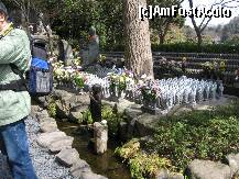 [P08] Pruncii din KAMAKURA ( cate un Budha mic pentru fiecare prunc disparut) » foto by Michi
 - 
<span class="allrVoted glyphicon glyphicon-heart hidden" id="av135938"></span>
<a class="m-l-10 hidden" id="sv135938" onclick="voting_Foto_DelVot(,135938,3821)" role="button">șterge vot <span class="glyphicon glyphicon-remove"></span></a>
<a id="v9135938" class=" c-red"  onclick="voting_Foto_SetVot(135938)" role="button"><span class="glyphicon glyphicon-heart-empty"></span> <b>LIKE</b> = Votează poza</a> <img class="hidden"  id="f135938W9" src="/imagini/loader.gif" border="0" /><span class="AjErrMes hidden" id="e135938ErM"></span>