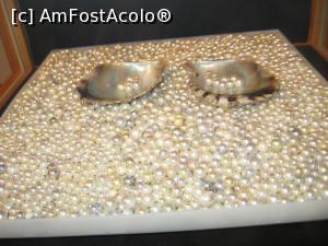 [P20] Perle culese de Ama » foto by Michi
 - 
<span class="allrVoted glyphicon glyphicon-heart hidden" id="av1156871"></span>
<a class="m-l-10 hidden" id="sv1156871" onclick="voting_Foto_DelVot(,1156871,3821)" role="button">șterge vot <span class="glyphicon glyphicon-remove"></span></a>
<a id="v91156871" class=" c-red"  onclick="voting_Foto_SetVot(1156871)" role="button"><span class="glyphicon glyphicon-heart-empty"></span> <b>LIKE</b> = Votează poza</a> <img class="hidden"  id="f1156871W9" src="/imagini/loader.gif" border="0" /><span class="AjErrMes hidden" id="e1156871ErM"></span>