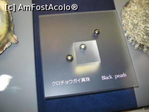 [P04] Cele mai scumpe perle, cele negre » foto by Michi
 - 
<span class="allrVoted glyphicon glyphicon-heart hidden" id="av1157013"></span>
<a class="m-l-10 hidden" id="sv1157013" onclick="voting_Foto_DelVot(,1157013,3821)" role="button">șterge vot <span class="glyphicon glyphicon-remove"></span></a>
<a id="v91157013" class=" c-red"  onclick="voting_Foto_SetVot(1157013)" role="button"><span class="glyphicon glyphicon-heart-empty"></span> <b>LIKE</b> = Votează poza</a> <img class="hidden"  id="f1157013W9" src="/imagini/loader.gif" border="0" /><span class="AjErrMes hidden" id="e1157013ErM"></span>