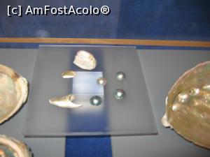[P08] Perle Mikimoto » foto by Michi
 - 
<span class="allrVoted glyphicon glyphicon-heart hidden" id="av1157017"></span>
<a class="m-l-10 hidden" id="sv1157017" onclick="voting_Foto_DelVot(,1157017,3821)" role="button">șterge vot <span class="glyphicon glyphicon-remove"></span></a>
<a id="v91157017" class=" c-red"  onclick="voting_Foto_SetVot(1157017)" role="button"><span class="glyphicon glyphicon-heart-empty"></span> <b>LIKE</b> = Votează poza</a> <img class="hidden"  id="f1157017W9" src="/imagini/loader.gif" border="0" /><span class="AjErrMes hidden" id="e1157017ErM"></span>