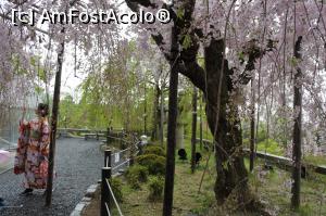 [P04] Kiyomizu (Kyoto), pe trecute » foto by Tesaria
 - 
<span class="allrVoted glyphicon glyphicon-heart hidden" id="av972453"></span>
<a class="m-l-10 hidden" id="sv972453" onclick="voting_Foto_DelVot(,972453,3821)" role="button">șterge vot <span class="glyphicon glyphicon-remove"></span></a>
<a id="v9972453" class=" c-red"  onclick="voting_Foto_SetVot(972453)" role="button"><span class="glyphicon glyphicon-heart-empty"></span> <b>LIKE</b> = Votează poza</a> <img class="hidden"  id="f972453W9" src="/imagini/loader.gif" border="0" /><span class="AjErrMes hidden" id="e972453ErM"></span>