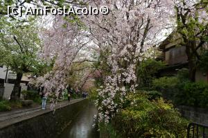 [P05] Drumul filosofului, Ginkakuji. Kyoto » foto by Tesaria
 - 
<span class="allrVoted glyphicon glyphicon-heart hidden" id="av972454"></span>
<a class="m-l-10 hidden" id="sv972454" onclick="voting_Foto_DelVot(,972454,3821)" role="button">șterge vot <span class="glyphicon glyphicon-remove"></span></a>
<a id="v9972454" class=" c-red"  onclick="voting_Foto_SetVot(972454)" role="button"><span class="glyphicon glyphicon-heart-empty"></span> <b>LIKE</b> = Votează poza</a> <img class="hidden"  id="f972454W9" src="/imagini/loader.gif" border="0" /><span class="AjErrMes hidden" id="e972454ErM"></span>