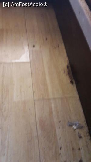 [P13]  -- <small>// FĂRĂ DESCRIERE</small> » foto by Moraru f
 - 
<span class="allrVoted glyphicon glyphicon-heart hidden" id="av879204"></span>
<a class="m-l-10 hidden" id="sv879204" onclick="voting_Foto_DelVot(,879204,3824)" role="button">șterge vot <span class="glyphicon glyphicon-remove"></span></a>
<a id="v9879204" class=" c-red"  onclick="voting_Foto_SetVot(879204)" role="button"><span class="glyphicon glyphicon-heart-empty"></span> <b>LIKE</b> = Votează poza</a> <img class="hidden"  id="f879204W9" src="/imagini/loader.gif" border="0" /><span class="AjErrMes hidden" id="e879204ErM"></span>
