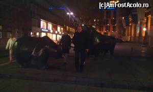 [P27] Bull and Bear » foto by AleDia
 - 
<span class="allrVoted glyphicon glyphicon-heart hidden" id="av590144"></span>
<a class="m-l-10 hidden" id="sv590144" onclick="voting_Foto_DelVot(,590144,3827)" role="button">șterge vot <span class="glyphicon glyphicon-remove"></span></a>
<a id="v9590144" class=" c-red"  onclick="voting_Foto_SetVot(590144)" role="button"><span class="glyphicon glyphicon-heart-empty"></span> <b>LIKE</b> = Votează poza</a> <img class="hidden"  id="f590144W9" src="/imagini/loader.gif" border="0" /><span class="AjErrMes hidden" id="e590144ErM"></span>