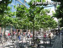 [P21] Bulevardul Zeil. Oameni si biciclete.  » foto by motaneata
 - 
<span class="allrVoted glyphicon glyphicon-heart hidden" id="av376206"></span>
<a class="m-l-10 hidden" id="sv376206" onclick="voting_Foto_DelVot(,376206,3827)" role="button">șterge vot <span class="glyphicon glyphicon-remove"></span></a>
<a id="v9376206" class=" c-red"  onclick="voting_Foto_SetVot(376206)" role="button"><span class="glyphicon glyphicon-heart-empty"></span> <b>LIKE</b> = Votează poza</a> <img class="hidden"  id="f376206W9" src="/imagini/loader.gif" border="0" /><span class="AjErrMes hidden" id="e376206ErM"></span>