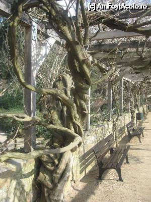 [P18] Parcul vilei Pompejanum » foto by dorgo
 - 
<span class="allrVoted glyphicon glyphicon-heart hidden" id="av443722"></span>
<a class="m-l-10 hidden" id="sv443722" onclick="voting_Foto_DelVot(,443722,3827)" role="button">șterge vot <span class="glyphicon glyphicon-remove"></span></a>
<a id="v9443722" class=" c-red"  onclick="voting_Foto_SetVot(443722)" role="button"><span class="glyphicon glyphicon-heart-empty"></span> <b>LIKE</b> = Votează poza</a> <img class="hidden"  id="f443722W9" src="/imagini/loader.gif" border="0" /><span class="AjErrMes hidden" id="e443722ErM"></span>