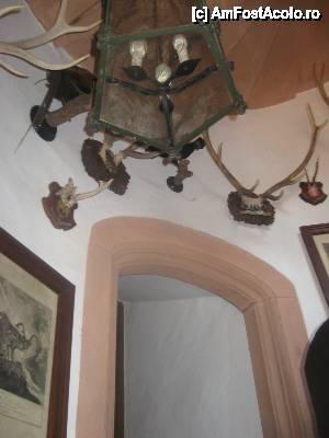 [P15] Trofee de vanatoare din padurea Spessart » foto by dorgo
 - 
<span class="allrVoted glyphicon glyphicon-heart hidden" id="av453568"></span>
<a class="m-l-10 hidden" id="sv453568" onclick="voting_Foto_DelVot(,453568,3827)" role="button">șterge vot <span class="glyphicon glyphicon-remove"></span></a>
<a id="v9453568" class=" c-red"  onclick="voting_Foto_SetVot(453568)" role="button"><span class="glyphicon glyphicon-heart-empty"></span> <b>LIKE</b> = Votează poza</a> <img class="hidden"  id="f453568W9" src="/imagini/loader.gif" border="0" /><span class="AjErrMes hidden" id="e453568ErM"></span>