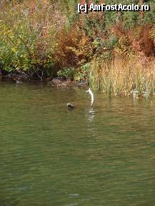 [P18] Lacul Sureanu » foto by sunflower
 - 
<span class="allrVoted glyphicon glyphicon-heart hidden" id="av296312"></span>
<a class="m-l-10 hidden" id="sv296312" onclick="voting_Foto_DelVot(,296312,3832)" role="button">șterge vot <span class="glyphicon glyphicon-remove"></span></a>
<a id="v9296312" class=" c-red"  onclick="voting_Foto_SetVot(296312)" role="button"><span class="glyphicon glyphicon-heart-empty"></span> <b>LIKE</b> = Votează poza</a> <img class="hidden"  id="f296312W9" src="/imagini/loader.gif" border="0" /><span class="AjErrMes hidden" id="e296312ErM"></span>
