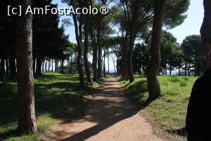 [P18] Insula Rodos, Mănăstirea Filerímos, Alei prin marea Curte » foto by mprofeanu
 - 
<span class="allrVoted glyphicon glyphicon-heart hidden" id="av1423205"></span>
<a class="m-l-10 hidden" id="sv1423205" onclick="voting_Foto_DelVot(,1423205,3837)" role="button">șterge vot <span class="glyphicon glyphicon-remove"></span></a>
<a id="v91423205" class=" c-red"  onclick="voting_Foto_SetVot(1423205)" role="button"><span class="glyphicon glyphicon-heart-empty"></span> <b>LIKE</b> = Votează poza</a> <img class="hidden"  id="f1423205W9" src="/imagini/loader.gif" border="0" /><span class="AjErrMes hidden" id="e1423205ErM"></span>