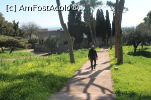 [P19] Insula Rodos, Mănăstirea Filerímos, Mergem spre Castelul Bizantin » foto by mprofeanu
 - 
<span class="allrVoted glyphicon glyphicon-heart hidden" id="av1423206"></span>
<a class="m-l-10 hidden" id="sv1423206" onclick="voting_Foto_DelVot(,1423206,3837)" role="button">șterge vot <span class="glyphicon glyphicon-remove"></span></a>
<a id="v91423206" class=" c-red"  onclick="voting_Foto_SetVot(1423206)" role="button"><span class="glyphicon glyphicon-heart-empty"></span> <b>LIKE</b> = Votează poza</a> <img class="hidden"  id="f1423206W9" src="/imagini/loader.gif" border="0" /><span class="AjErrMes hidden" id="e1423206ErM"></span>