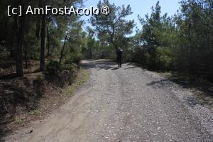 [P47] Insula Rodos, Lacul Apolakia, am mers pe jos de la zona de parcare » foto by mprofeanu
 - 
<span class="allrVoted glyphicon glyphicon-heart hidden" id="av1423234"></span>
<a class="m-l-10 hidden" id="sv1423234" onclick="voting_Foto_DelVot(,1423234,3837)" role="button">șterge vot <span class="glyphicon glyphicon-remove"></span></a>
<a id="v91423234" class=" c-red"  onclick="voting_Foto_SetVot(1423234)" role="button"><span class="glyphicon glyphicon-heart-empty"></span> <b>LIKE</b> = Votează poza</a> <img class="hidden"  id="f1423234W9" src="/imagini/loader.gif" border="0" /><span class="AjErrMes hidden" id="e1423234ErM"></span>