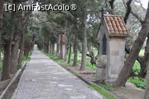 [P05] Insula Rodos, Mănăstirea Filerímos, Calvarul (Drumul Crucii) » foto by mprofeanu
 - 
<span class="allrVoted glyphicon glyphicon-heart hidden" id="av1423192"></span>
<a class="m-l-10 hidden" id="sv1423192" onclick="voting_Foto_DelVot(,1423192,3837)" role="button">șterge vot <span class="glyphicon glyphicon-remove"></span></a>
<a id="v91423192" class=" c-red"  onclick="voting_Foto_SetVot(1423192)" role="button"><span class="glyphicon glyphicon-heart-empty"></span> <b>LIKE</b> = Votează poza</a> <img class="hidden"  id="f1423192W9" src="/imagini/loader.gif" border="0" /><span class="AjErrMes hidden" id="e1423192ErM"></span>