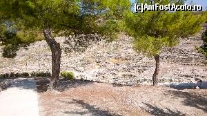 [P18] Între doi pini... Ancient Kamiros.  » foto by maryka
 - 
<span class="allrVoted glyphicon glyphicon-heart hidden" id="av674366"></span>
<a class="m-l-10 hidden" id="sv674366" onclick="voting_Foto_DelVot(,674366,3837)" role="button">șterge vot <span class="glyphicon glyphicon-remove"></span></a>
<a id="v9674366" class=" c-red"  onclick="voting_Foto_SetVot(674366)" role="button"><span class="glyphicon glyphicon-heart-empty"></span> <b>LIKE</b> = Votează poza</a> <img class="hidden"  id="f674366W9" src="/imagini/loader.gif" border="0" /><span class="AjErrMes hidden" id="e674366ErM"></span>