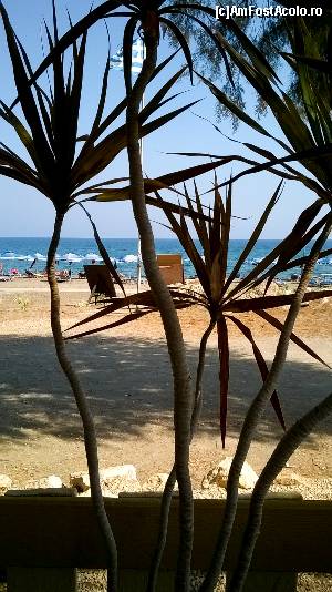 [P14] Vedere spre plaja Monaxia, din Faliraki.  » foto by maryka
 - 
<span class="allrVoted glyphicon glyphicon-heart hidden" id="av675516"></span>
<a class="m-l-10 hidden" id="sv675516" onclick="voting_Foto_DelVot(,675516,3837)" role="button">șterge vot <span class="glyphicon glyphicon-remove"></span></a>
<a id="v9675516" class=" c-red"  onclick="voting_Foto_SetVot(675516)" role="button"><span class="glyphicon glyphicon-heart-empty"></span> <b>LIKE</b> = Votează poza</a> <img class="hidden"  id="f675516W9" src="/imagini/loader.gif" border="0" /><span class="AjErrMes hidden" id="e675516ErM"></span>