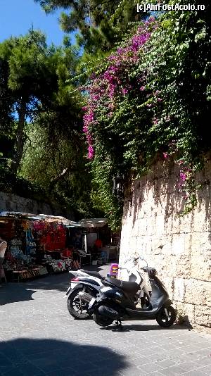 [P16] Rodos town, in drum spre Rodini.  » foto by maryka
 - 
<span class="allrVoted glyphicon glyphicon-heart hidden" id="av675518"></span>
<a class="m-l-10 hidden" id="sv675518" onclick="voting_Foto_DelVot(,675518,3837)" role="button">șterge vot <span class="glyphicon glyphicon-remove"></span></a>
<a id="v9675518" class=" c-red"  onclick="voting_Foto_SetVot(675518)" role="button"><span class="glyphicon glyphicon-heart-empty"></span> <b>LIKE</b> = Votează poza</a> <img class="hidden"  id="f675518W9" src="/imagini/loader.gif" border="0" /><span class="AjErrMes hidden" id="e675518ErM"></span>