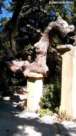[P17] Arbori susţinuţi de stâlpi de beton în parcul Rodini.  » foto by maryka
 - 
<span class="allrVoted glyphicon glyphicon-heart hidden" id="av675519"></span>
<a class="m-l-10 hidden" id="sv675519" onclick="voting_Foto_DelVot(,675519,3837)" role="button">șterge vot <span class="glyphicon glyphicon-remove"></span></a>
<a id="v9675519" class=" c-red"  onclick="voting_Foto_SetVot(675519)" role="button"><span class="glyphicon glyphicon-heart-empty"></span> <b>LIKE</b> = Votează poza</a> <img class="hidden"  id="f675519W9" src="/imagini/loader.gif" border="0" /><span class="AjErrMes hidden" id="e675519ErM"></span>