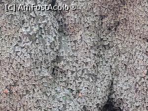 [P17] Valea Fluturilor, insula Rhodos » foto by vlado2
 - 
<span class="allrVoted glyphicon glyphicon-heart hidden" id="av1518420"></span>
<a class="m-l-10 hidden" id="sv1518420" onclick="voting_Foto_DelVot(,1518420,3837)" role="button">șterge vot <span class="glyphicon glyphicon-remove"></span></a>
<a id="v91518420" class=" c-red"  onclick="voting_Foto_SetVot(1518420)" role="button"><span class="glyphicon glyphicon-heart-empty"></span> <b>LIKE</b> = Votează poza</a> <img class="hidden"  id="f1518420W9" src="/imagini/loader.gif" border="0" /><span class="AjErrMes hidden" id="e1518420ErM"></span>