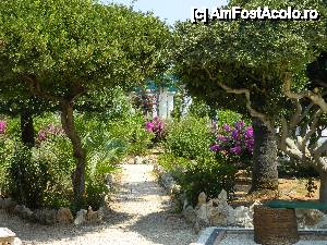 [P04] Pimbare in gradina complexului Kallithea Springs » foto by Maria V.
 - 
<span class="allrVoted glyphicon glyphicon-heart hidden" id="av444882"></span>
<a class="m-l-10 hidden" id="sv444882" onclick="voting_Foto_DelVot(,444882,3837)" role="button">șterge vot <span class="glyphicon glyphicon-remove"></span></a>
<a id="v9444882" class=" c-red"  onclick="voting_Foto_SetVot(444882)" role="button"><span class="glyphicon glyphicon-heart-empty"></span> <b>LIKE</b> = Votează poza</a> <img class="hidden"  id="f444882W9" src="/imagini/loader.gif" border="0" /><span class="AjErrMes hidden" id="e444882ErM"></span>