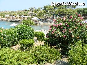 [P08] Terasa, o parte din plaja si o parte din gradina de la Kallithea Springs » foto by Maria V.
 - 
<span class="allrVoted glyphicon glyphicon-heart hidden" id="av444886"></span>
<a class="m-l-10 hidden" id="sv444886" onclick="voting_Foto_DelVot(,444886,3837)" role="button">șterge vot <span class="glyphicon glyphicon-remove"></span></a>
<a id="v9444886" class=" c-red"  onclick="voting_Foto_SetVot(444886)" role="button"><span class="glyphicon glyphicon-heart-empty"></span> <b>LIKE</b> = Votează poza</a> <img class="hidden"  id="f444886W9" src="/imagini/loader.gif" border="0" /><span class="AjErrMes hidden" id="e444886ErM"></span>