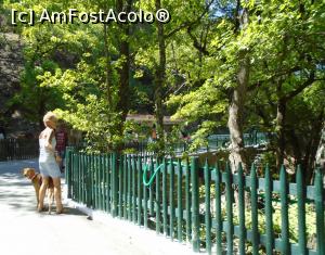 [P21] Doamna care nu a fost lăsată să intre cu cățelul în rezervația naturală Valea Fluturilor. » foto by Carmen Ion
 - 
<span class="allrVoted glyphicon glyphicon-heart hidden" id="av1204751"></span>
<a class="m-l-10 hidden" id="sv1204751" onclick="voting_Foto_DelVot(,1204751,3837)" role="button">șterge vot <span class="glyphicon glyphicon-remove"></span></a>
<a id="v91204751" class=" c-red"  onclick="voting_Foto_SetVot(1204751)" role="button"><span class="glyphicon glyphicon-heart-empty"></span> <b>LIKE</b> = Votează poza</a> <img class="hidden"  id="f1204751W9" src="/imagini/loader.gif" border="0" /><span class="AjErrMes hidden" id="e1204751ErM"></span>