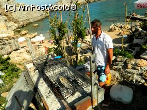 [P10] Rhodos - Lindos - cel mai bun peste mancat vreodata, in conditii saracacioase gatit, prins cu cateva ore in urma din apa Golfului Sf. Pavel » foto by alina1104
 - 
<span class="allrVoted glyphicon glyphicon-heart hidden" id="av718046"></span>
<a class="m-l-10 hidden" id="sv718046" onclick="voting_Foto_DelVot(,718046,3837)" role="button">șterge vot <span class="glyphicon glyphicon-remove"></span></a>
<a id="v9718046" class=" c-red"  onclick="voting_Foto_SetVot(718046)" role="button"><span class="glyphicon glyphicon-heart-empty"></span> <b>LIKE</b> = Votează poza</a> <img class="hidden"  id="f718046W9" src="/imagini/loader.gif" border="0" /><span class="AjErrMes hidden" id="e718046ErM"></span>